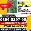 Gudang Rumput Imitasi Menes.jpg