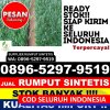 Penjual Rumput Palsu Mangunreja.jpg