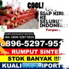 Jual Rumput Sintetis Pilangkenceng.jpg