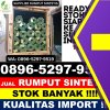 Gudang Rumput Plastik Ciemas.jpg