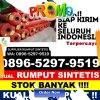 Grosir Rumput Plastik Pondok Tingggi.jpg