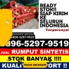 Agen Rumput Palsu Sawan.jpg