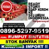 Jual Rumput Palsu Pancalang.jpg