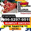 Jual Rumput Sintetis Polombangkeng Selatan.jpg