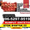 Grosir Rumput Imitasi Tampan.jpg