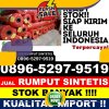 Jual Rumput Palsu Pangkalan Koto Baru.jpg