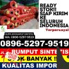 Jual Rumput Sintetis Prambon.jpg