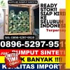 Gudang Rumput Plastik Cimahi Selatan.jpg