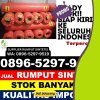 Agen Rumput Palsu Selimbau.jpg