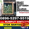 Pusat Rumput Palsu Biduk Biduk.jpg