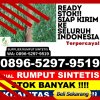 Penjual Rumput Palsu Medan Tuntungan.jpg