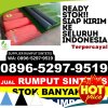 Penjual Rumput Plastik Way Panji.jpg