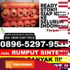 Distributor Rumput Plastik Simpang Hulu.jpg