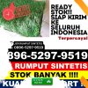 Distributor Rumput Palsu Kabupaten Bojonegoro.jpg