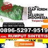 Agen Rumput Sintetis Kabupaten Aceh Tenggara.jpg