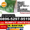 Distributor Rumput Palsu Kabupaten Indragiri Hilir.jpg