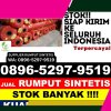 Jual Rumput Sintetis Purwokerto Selatan.jpg