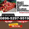 Grosir Rumput Plastik Rancah.jpg