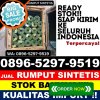 Penjual Rumput Sintetis Air Hangat Barat.jpg