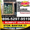 Penjual Rumput Sintetis Ampek Nagari.jpg