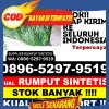 Agen Rumput Sintetis Kabupaten Kubu Raya.jpg