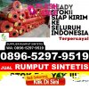 Jual Rumput Palsu Pesisir Bukit.jpg