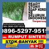 Distributor Rumput Palsu Kabupaten Pasaman Barat.jpg