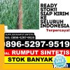 Penjual Rumput Palsu Mungka.jpg