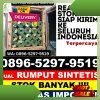 Penjual Rumput Sintetis Arjawinangun.jpg