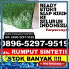 Agen Rumput Sintetis Kabupaten Malang.jpg