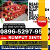 Jual Rumput Sintetis Rusip Antara.jpg