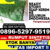 Agen Rumput Sintetis Kabupaten Pasaman.jpg