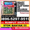 Penjual Rumput Sintetis Babul Rahmah.jpg