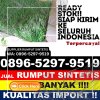 Distributor Rumput Palsu Kabupaten Tapanuli Utara.jpg