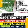 Agen Rumput Sintetis Kabupaten Serdang Bedagai.jpg