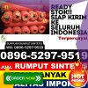 Distributor Rumput Plastik Sungai Limau.jpg