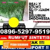 Distributor Rumput Palsu Kalapa Nunggal.jpg