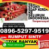 Penjual Rumput Palsu Obi Barat.jpg