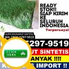 Agen Rumput Sintetis Kabupaten Tapanuli Tengah.jpg