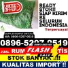 Distributor Rumput Palsu Kaliwungu Selatan.jpg