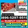 Jual Rumput Palsu Punduh Pidada.jpg