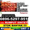 Distributor Rumput Plastik Tambakrejo.jpg