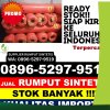 Jual Rumput Sintetis Selayar.jpg