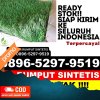 Agen Rumput Sintetis Kapetakan.jpg