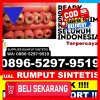 Distributor Rumput Plastik Tanah Sepenggal.jpg