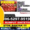 Supplier Rumput Imitasi Slogohimo.jpg