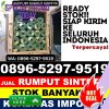 Penjual Rumput Sintetis Barangin.jpg