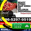 Jual Rumput Palsu Ringinarum.jpg