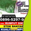 Pusat Rumput Palsu Dendang.jpg