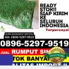 Agen Rumput Sintetis Kebon Jeruk.jpg